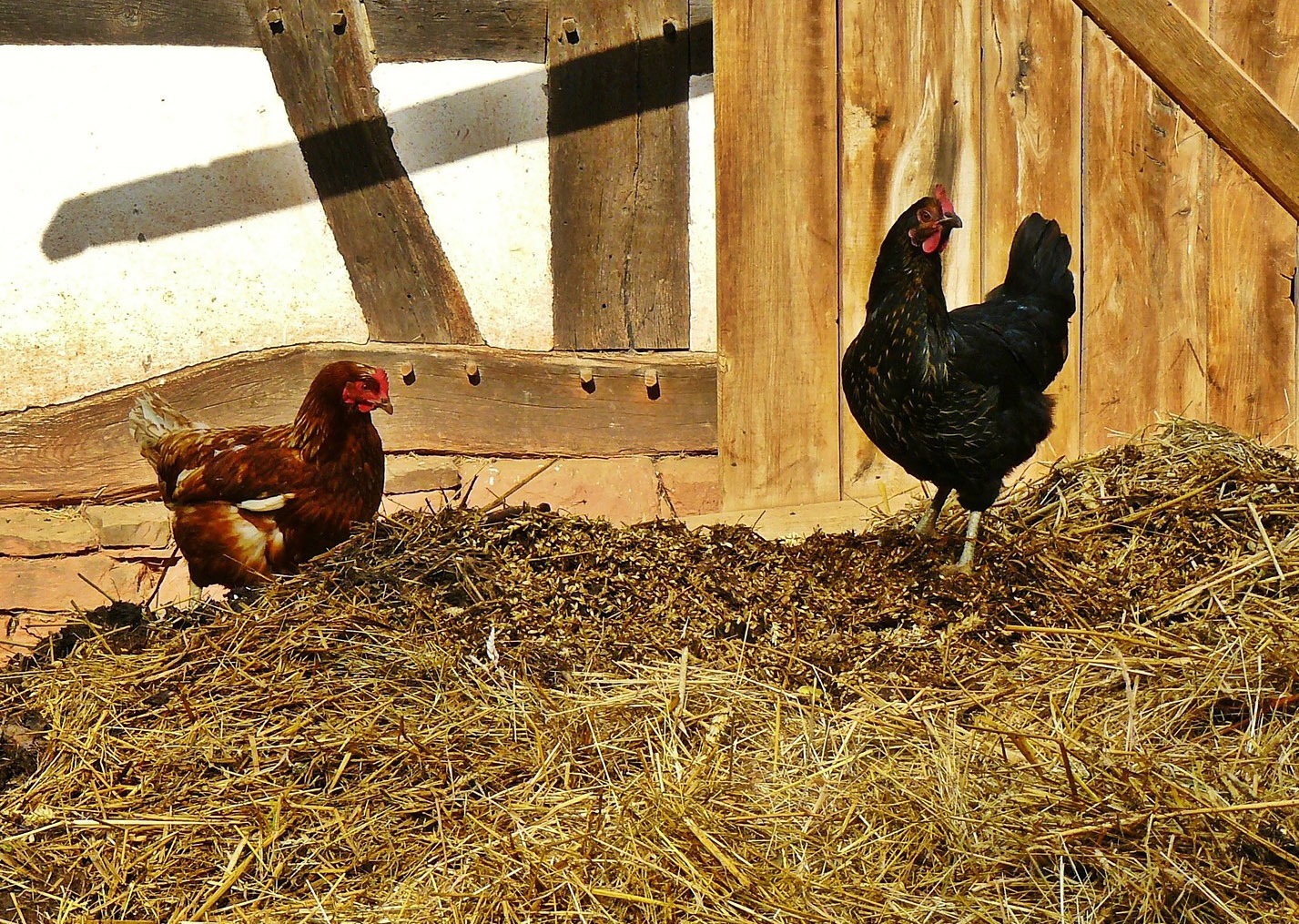 La Ferme de Bonneuil